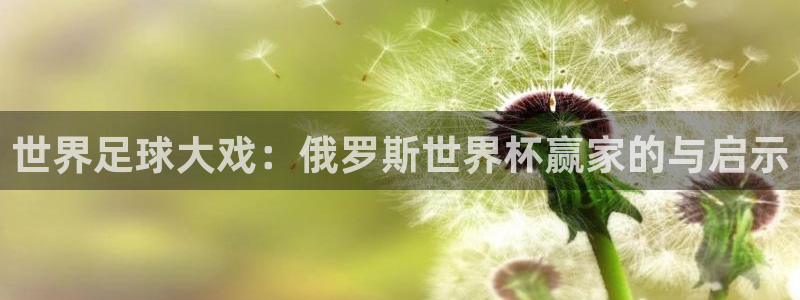 世界杯赛程表：世界足球大戏：俄罗斯世界杯赢家的与启示