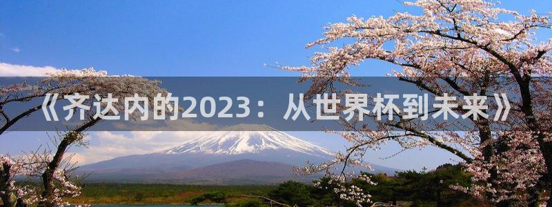 女足世界杯直播在线观看免费高清：《齐达内的2023：从世界杯到未来》
