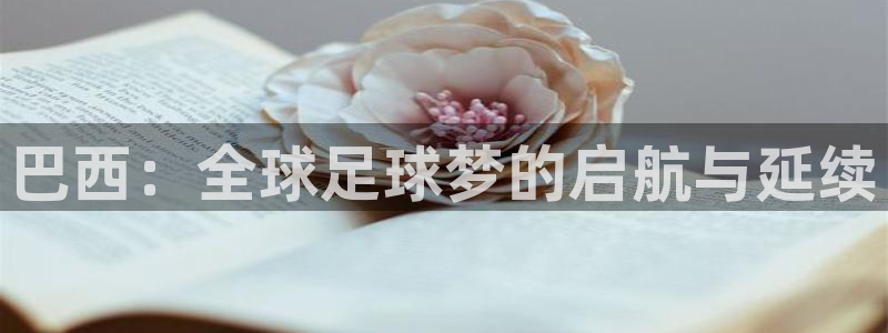 世界杯球赛：巴西：全球足球梦的启航与延续