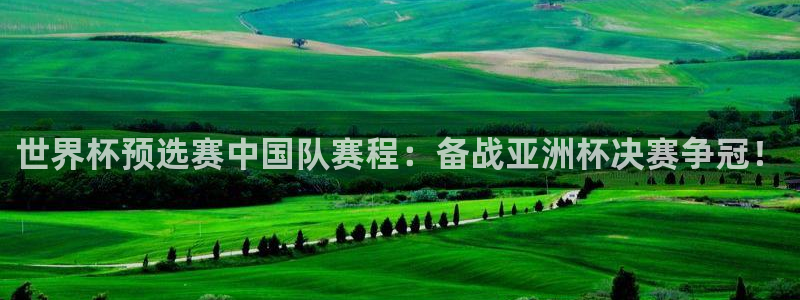 世界杯48支球队赛制：世界杯预选赛中国队赛程：备战亚洲杯决赛争冠！