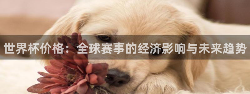 世界杯16强赛程表：世界杯价格：全球赛事的经济影响与未来趋势