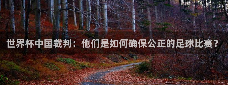 2026男足世界杯赛程：世界杯中国裁判：他们是如何确保公正的足球比赛？
