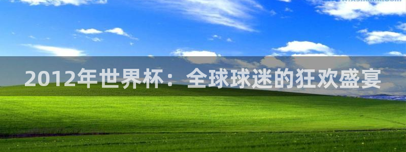 2026世界杯官网入口：2012年世界杯：全球球迷的狂欢盛宴