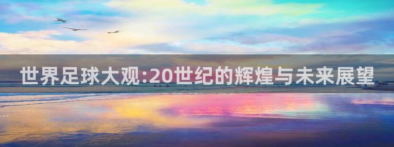 2026世预赛赛程表:世界足球大观:20世纪的辉煌与未来展望