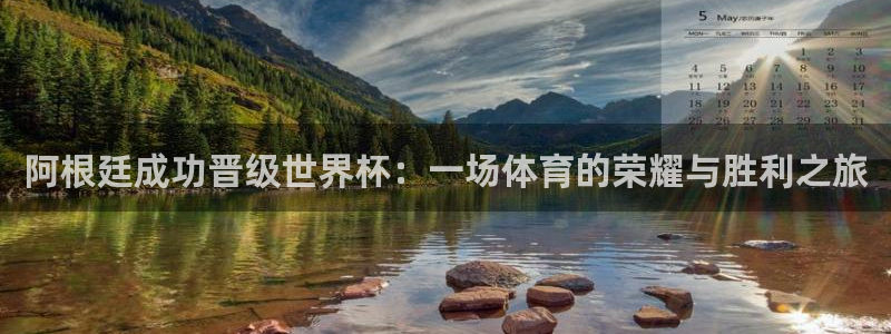 2006年世界杯冠军:阿根廷成功晋级世界杯:一场体育的荣耀与胜利之旅