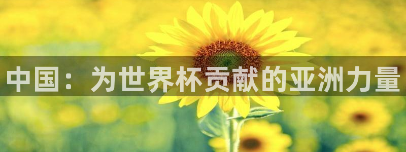 联赛杯直播:中国:为世界杯贡献的亚洲力量
