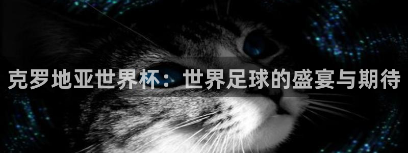 世界杯预选赛亚洲:克罗地亚世界杯:世界足球的盛宴与期待
