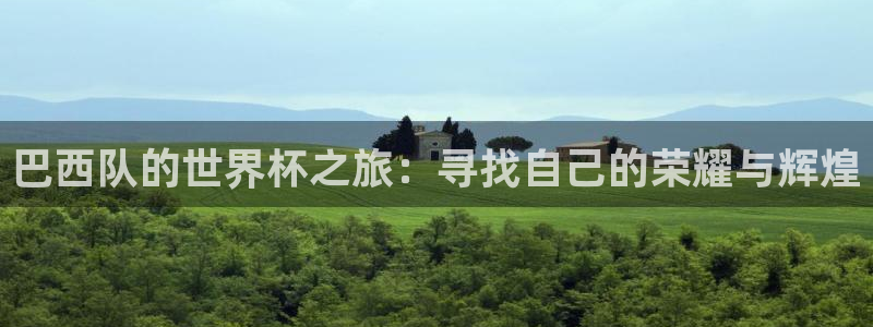 足球世界杯赛程:巴西队的世界杯之旅:寻找自己的荣耀与辉煌