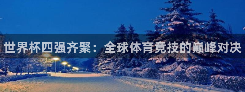 世界杯预选赛排名：世界杯四强齐聚：全球体育竞技的巅峰对决