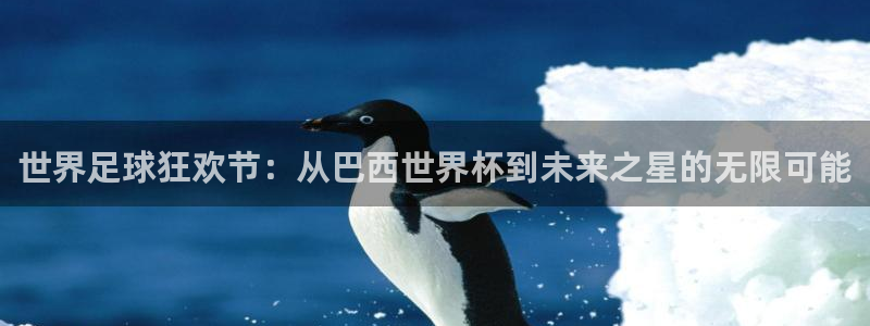 世界杯赛程表2026:世界足球狂欢节:从巴西世界杯到未来之星的无限可能