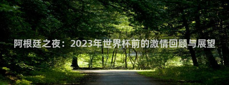 世预赛直播:阿根廷之夜:2023年世界杯前的激情回顾与展望