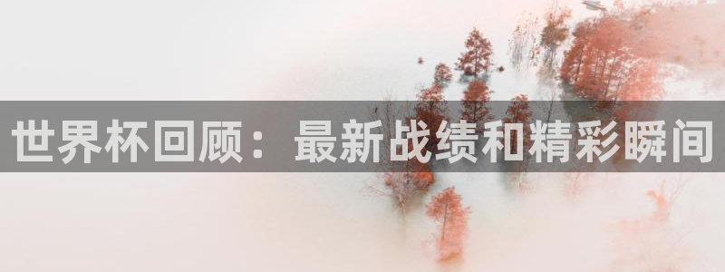 2026世界杯32强对阵图表:世界杯回顾:最新战绩和精彩瞬间