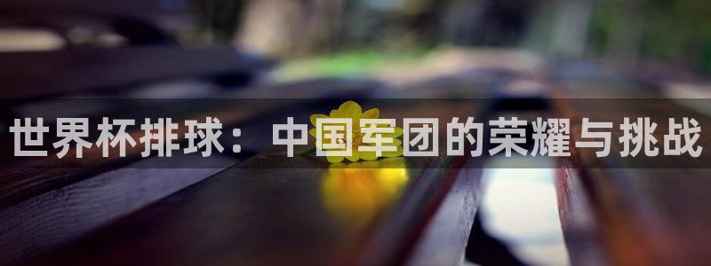 欧洲世界杯预选赛:世界杯排球:中国军团的荣耀与挑战