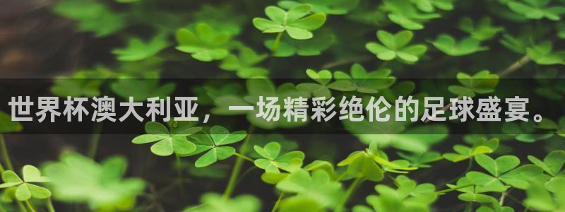 2026世界杯赛制:世界杯澳大利亚,一场精彩绝伦的足球盛宴。